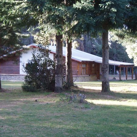 Posada Del Angel San Carlos de Bariloche Dış mekan fotoğraf