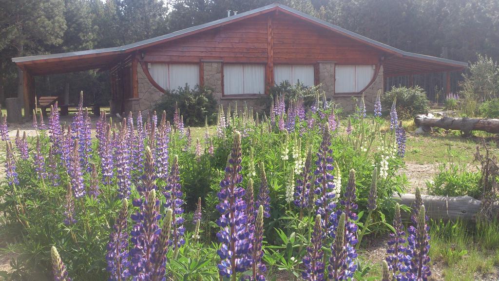 Posada Del Angel San Carlos de Bariloche Dış mekan fotoğraf